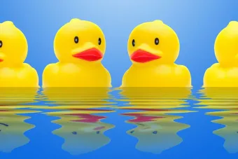 rubber ducks in a row on blue water with reflections